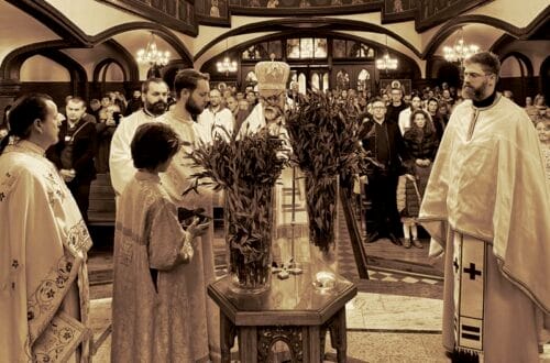 Цвети у Берлину